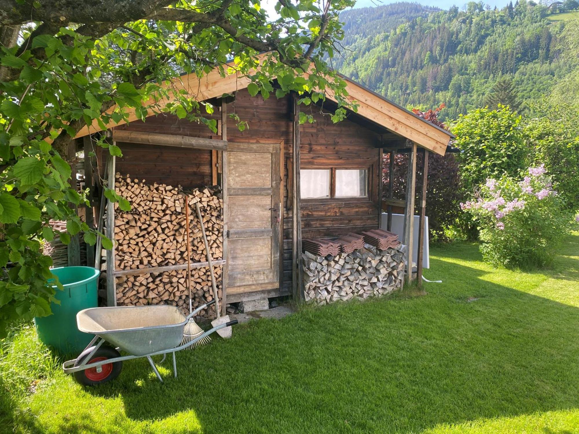 Chalet Panoramablick เซลล์อัมเซ ภายนอก รูปภาพ